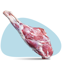 Lamb