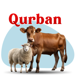 Eid al Adha Qurban Service 2025
