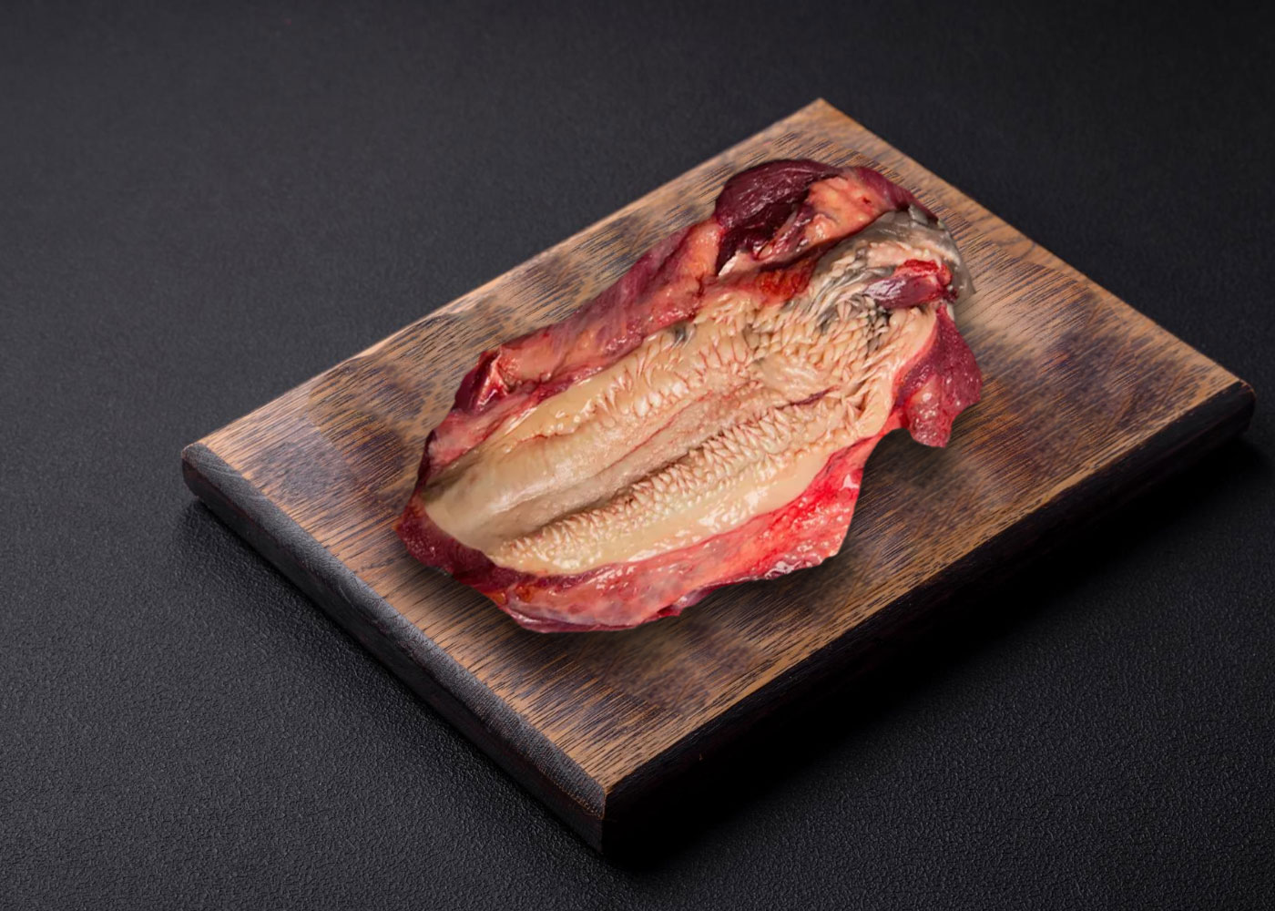 Grass-Fed Beef Pappillae