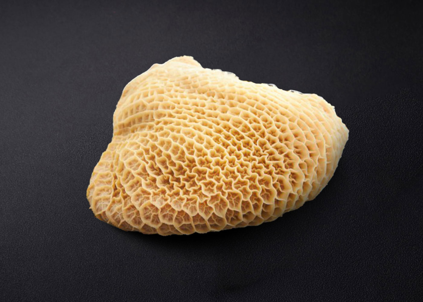 Grass-Fed Beef Tripe